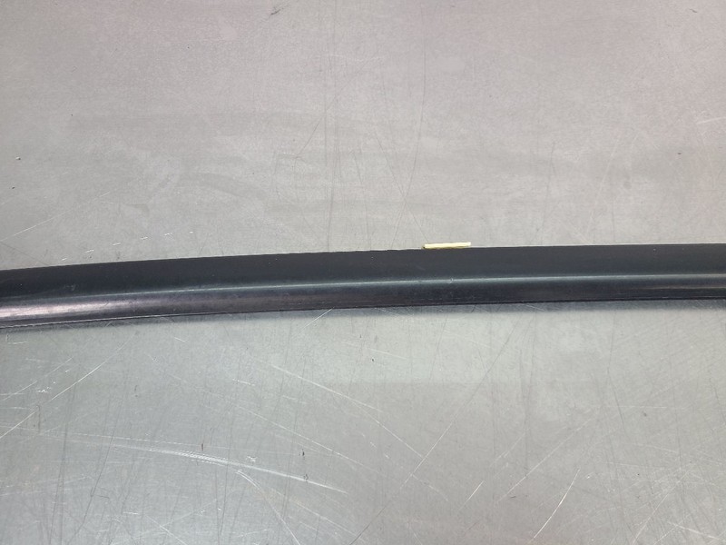 2004-06 GTO Door Belt Moulding Trim Strip, Right Passenger Side RH - OEM gallery