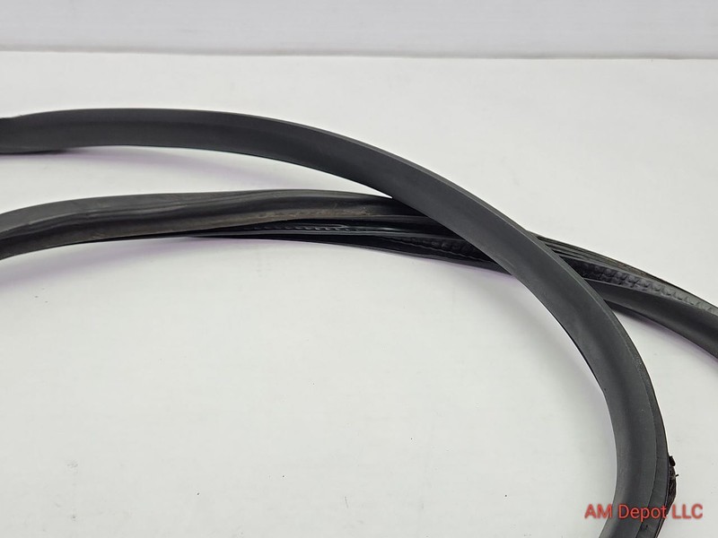 2009 Mini Cooper S R56 Front Right Passenger Door Seal Gasket Weatherstrip gallery