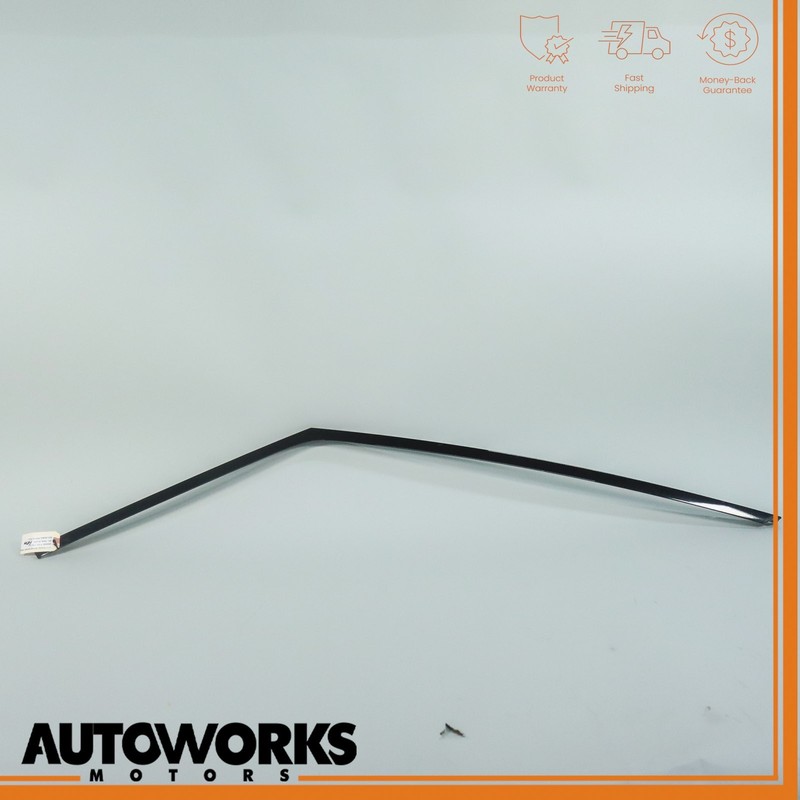 14-22 Range Rover Sport L494 Front Right Outer Door Window Molding Seal OEM