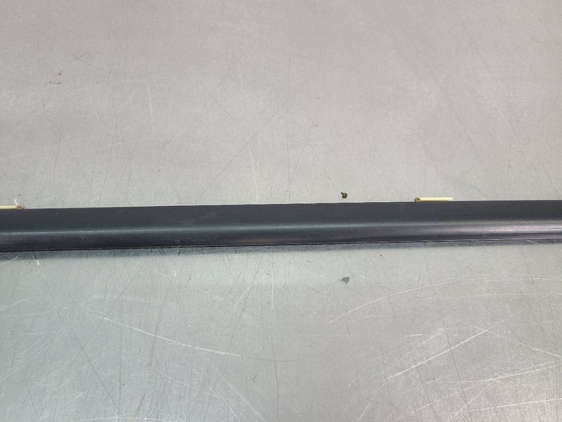 2004-06 GTO Door Belt Moulding Trim Strip, Right Passenger Side RH - OEM gallery