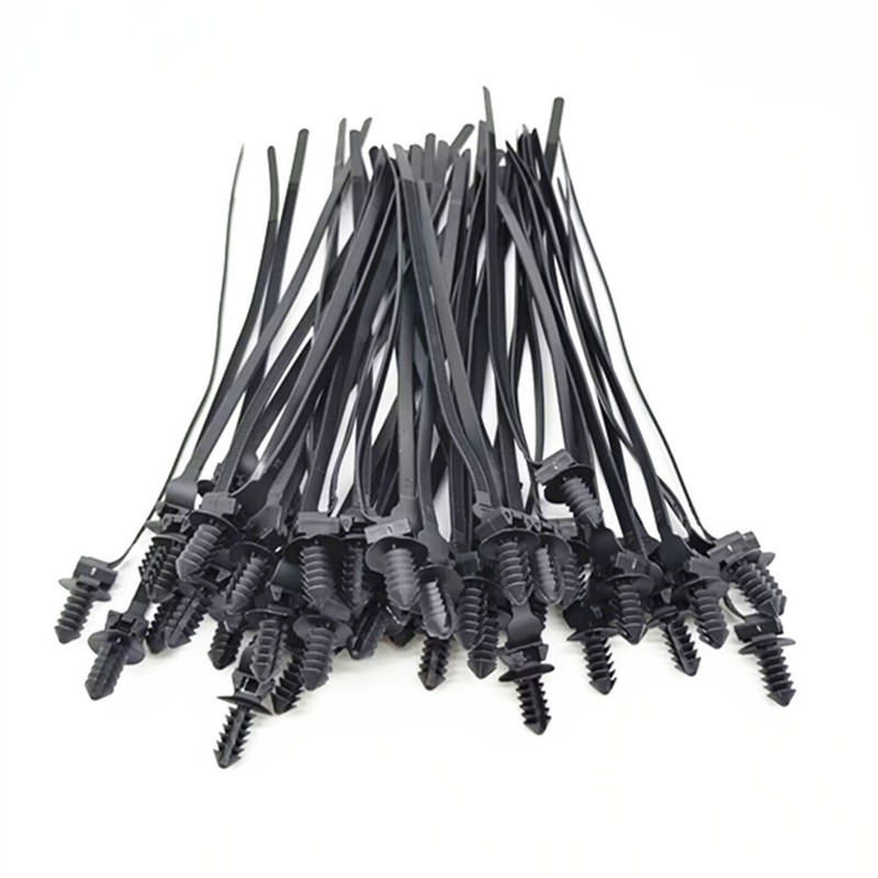 Car Fasteners Bundle Parts Push Mount Zip Ties Nylon Tie Wraps Clip Pipe Cable