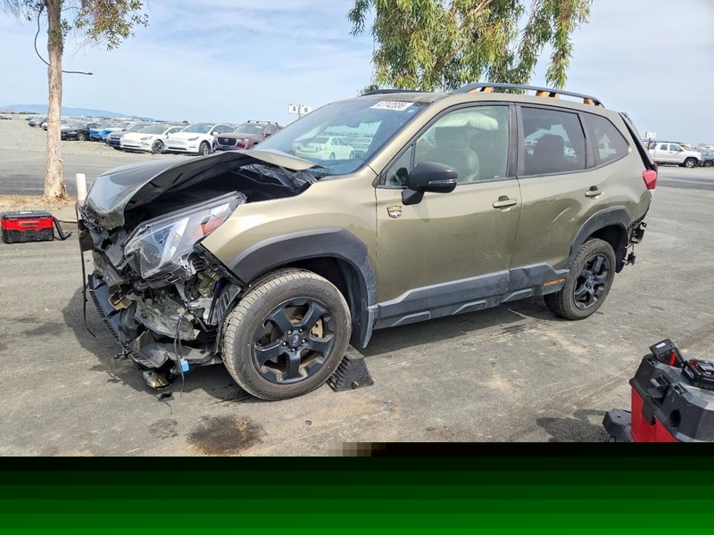 RIGHT FRONT DOOR MOULDING OEM 2022 SUBARU FORESTER