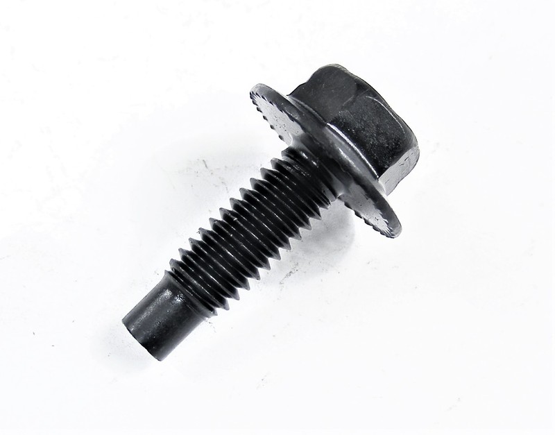 PONTIAC Body Bolts & U-nut Clips- 5/16-18 x 1" Long- 1/2" Hex- 20pcs (10ea) #411 gallery
